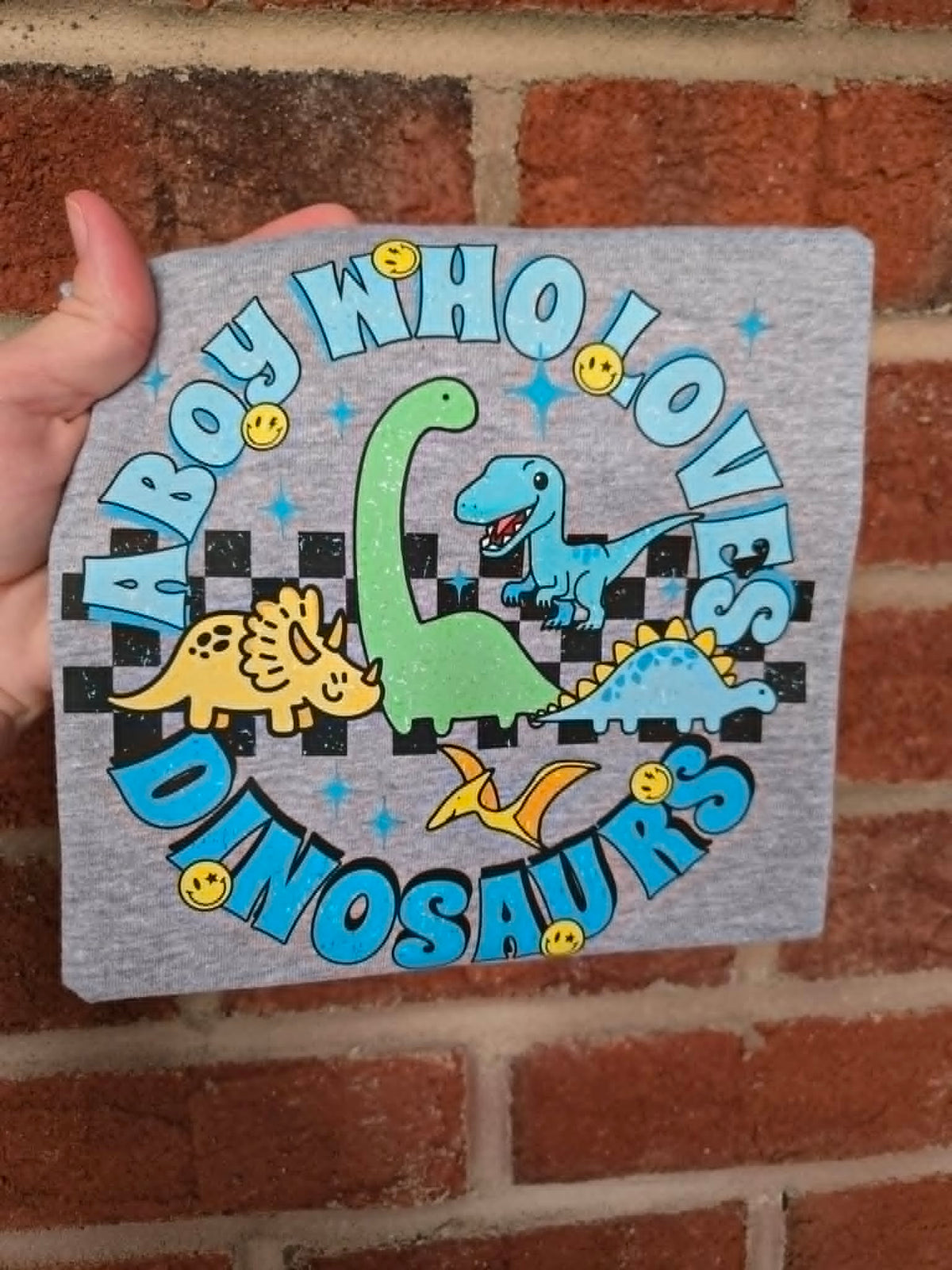 Checker A Boy Who Loves Dinosaurs