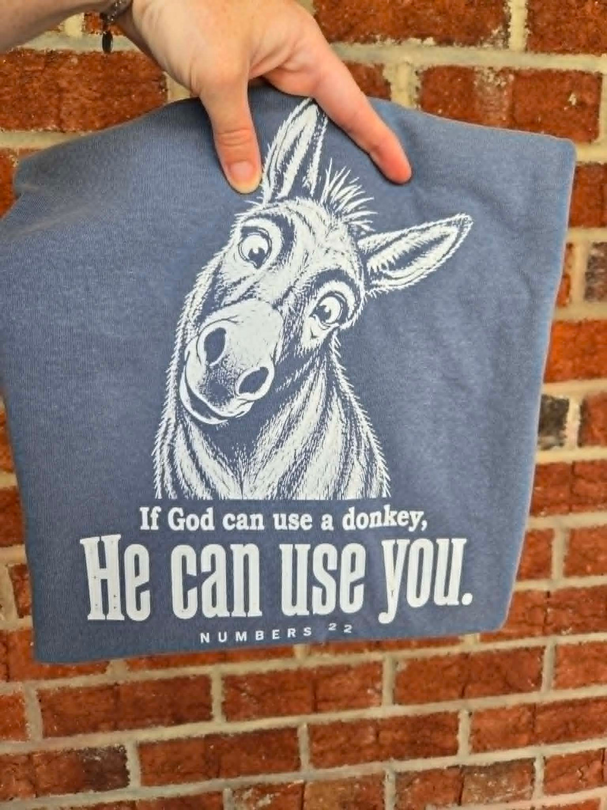 If God Can Use A Donkey