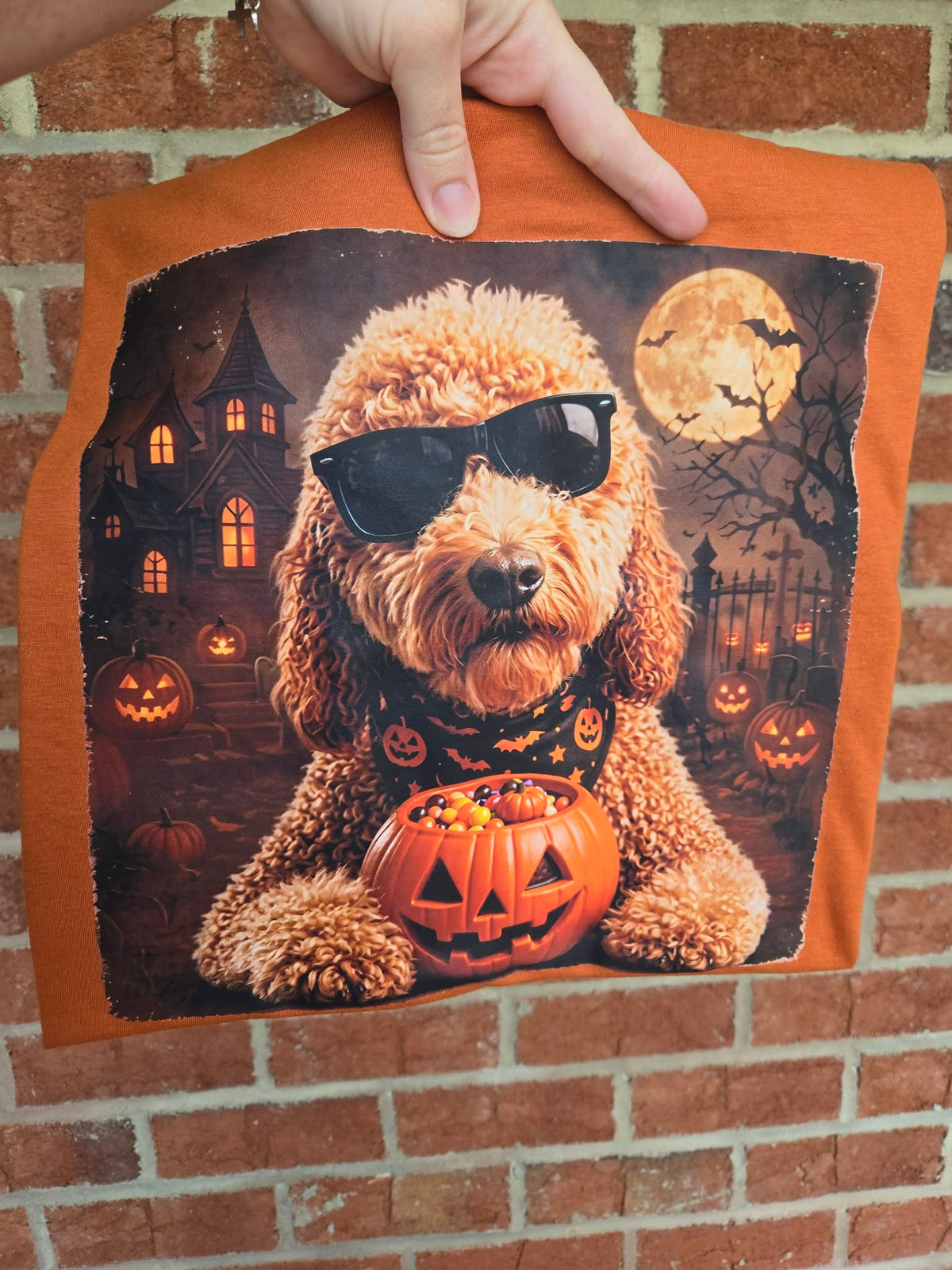 Halloween Goldendoodle