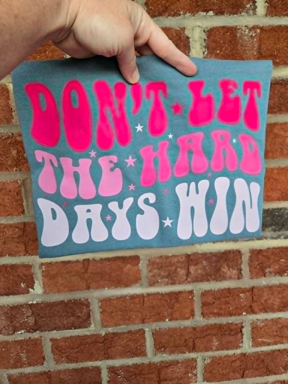 Pink Don't Let The Hard Days Win